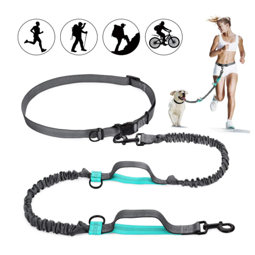 Hands Free Dog Leash